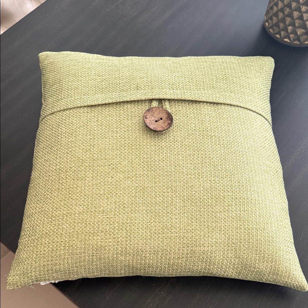Accent pillows (2) EUC